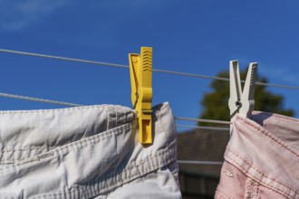 Yellow and white clothes pegs holding pink clothes on a clothesline under a blue sky, Weseke,