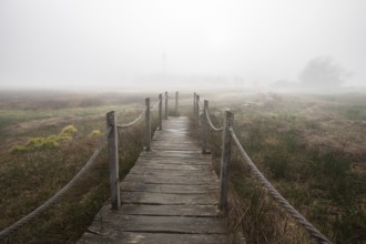 A wooden walkway or footbridge leads through a nature reserve in dense fog. Landscape shot in the