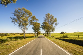 Beautiful landscape of Alentejo and famous national road N2, Almodovar, Portugal, Europe