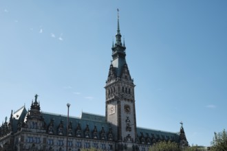 View of the Hamburg City Hall, Hanseatic City of Hamburg, Germany, Europe