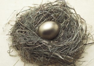 SYMBOLIC IMAGES, THE HEN AND THE GOLDEN EGG