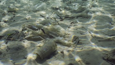Plastic garbage lies on sandy-silty bottom of sea in shallow water on bright sunny day in sun glare