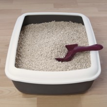 cat litter box with biodegradable pine wood chips