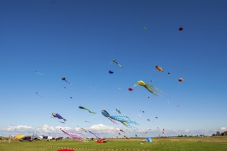 Kites in the sky at the Elbe Beach Festival 2022 in Otterndorf, Cuxhaven District, Lower Saxony,