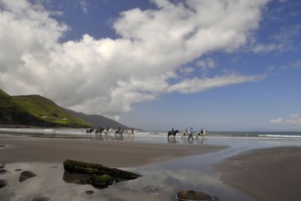 Rossbehy