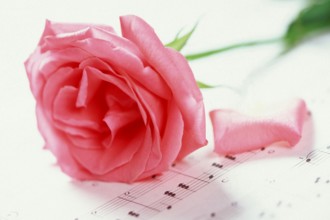 Rose blossom on sheet music