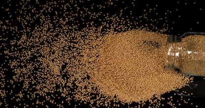 Mustard Seeds Falling on Black Background, Crockery