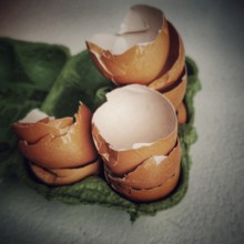 Egg shells