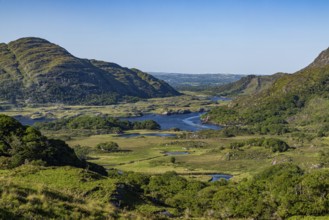 Ladies View in Kilarney NP, Coounty Kerry, Ireland, Europe