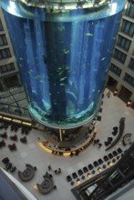 Aquarium in hotel lobby, Hotel Radisson, Berlin, Lobby with AquaDom, Atrium, Germany, Europe
