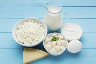 Variety organic cheese with milk
