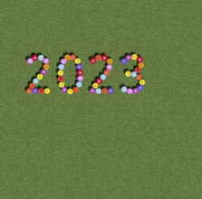 Year 2023 on clover meadow