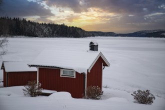 Typical red Swedish house. Wooden house in a winter landscape with ice and snow. Small settlement