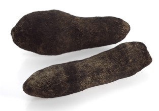 Yam (dioscorea) against White Background