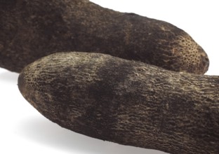 Yam (dioscorea) against White Background