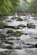 River Ambleve, Fond de Quarreux, Ardennes, Wallonia, Belgium, Europe