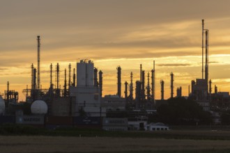 BASF, Lugwigshafen on the Rhine, industrial area, dusk, Mannheim, Baden-Württemberg, Germany,