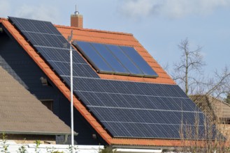 Weathercock in front of a house roof with photovoltaics, Kamen, North Rhine-Westphalia, Germany,