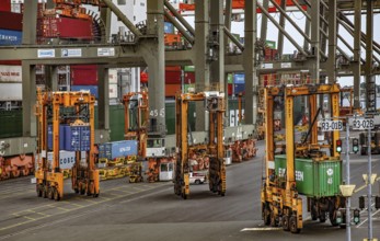 Straddles and Cranes Moving Shipping Containers, Container Shipping Yard, Port of Elizabeth,
