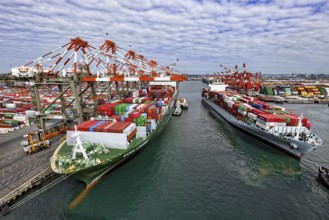 Super Post Panamax Container Ship Loading, Port of Elizabeth, Newark, New Jersey, USA, North
