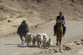 Shepherds, Sotho, Basotho, Mokhotlong district, A14, Lesotho, Shepherds, Africa