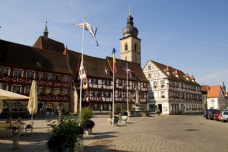 Town Hall and Church of St. Martin, Forchheim, Franconian Switzerland, Bavaria, Germany, Franconian
