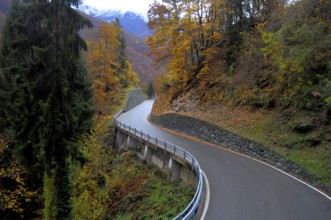 Switzerland, Ticino, narrow-gauge line Locarno, Domodossola, Centovalli, railway, Hundred Valleys,
