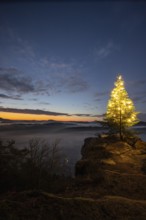 Exhilarating sunrise at the Wachtfelsen. Magical morning mist, clouds and a Christmas tree in the