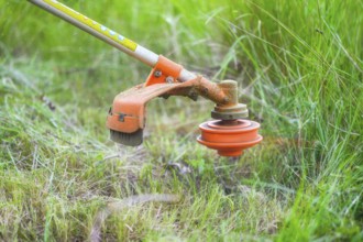 Gardener mowing grass by brush cutter in garden close up