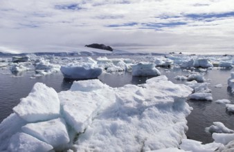 ICEBERGS IN ANTARCTICA