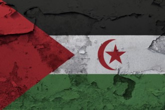 Western Sahara Flag painted on the cracked grunge concrete wall