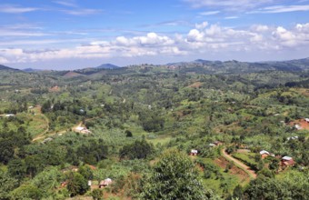 Landscape at Southern Uganda, near Kanungu