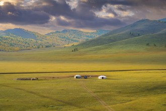Fall time in Mongolian Selenge province