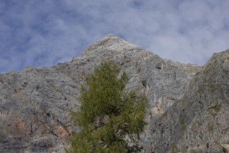 Mountain panorama Schönfeldspitze 1800m, in the Steinernes Meer in Salzburg