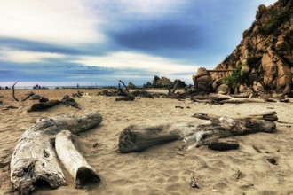 Spongy driftwood on the beach of La Bocana, Baja de Hualtulco, South Pacific Coast, State of