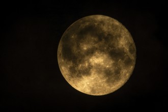 Super moon one day after full moon, moon behind clouds, Braunschweig, Lower Saxony, Germany, Europe