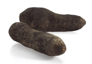 Yam (dioscorea) against White Background