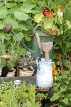 Garden with herbs