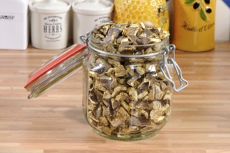Dried oyster side pieces (Pleurotus ostreatus) in storage jar, preserving jar