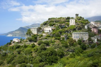 Nonza, Cap Corse, Corsica, France, West Coast, Europe