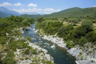River Tavignano, Corsica, France, Europe