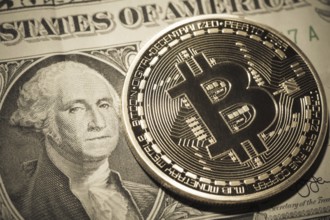One Bitcoin on dollar banknote. Closeup, macro shot