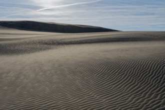 Dune landscape around the Lontz Dune, Wydma Lacka, the largest travelling dune on the Polish Baltic