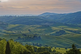 Landscape in the rays of the evening sun near Montepulciano in Tuscany: Montepulciano, Tuscany,