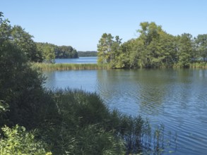 The Schaalsee at the Kampenwerder peninsula in the Schaalsee UNESCO Biosphere Reserve, Stintenburg,