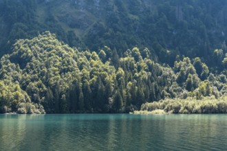 Light mood at Lake Klöntal, Klöntal, Canton Glarus, Switzerland, Europe