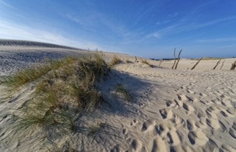 Dune landscape around the Lontz Dune, Wydma Lacka, the largest travelling dune on the Polish Baltic