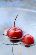 Ornamental apples in water