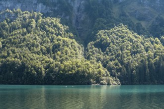 Light mood at Lake Klöntal, Klöntal, Canton Glarus, Switzerland, Europe