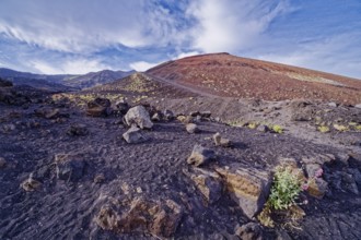 Lava rock and crater landscape around the Crateri Silvestri in the Etna National Park, Parco